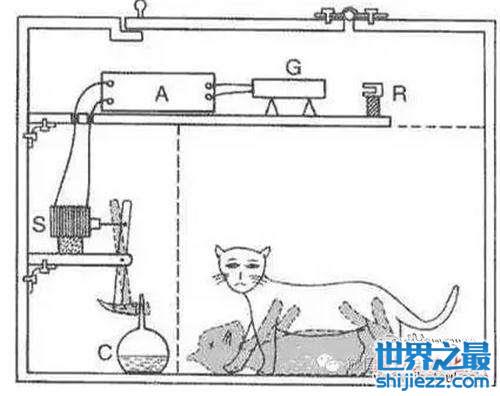 揭秘薛定谔的猫，一个无聊的实验(猫死不死铀说了算)