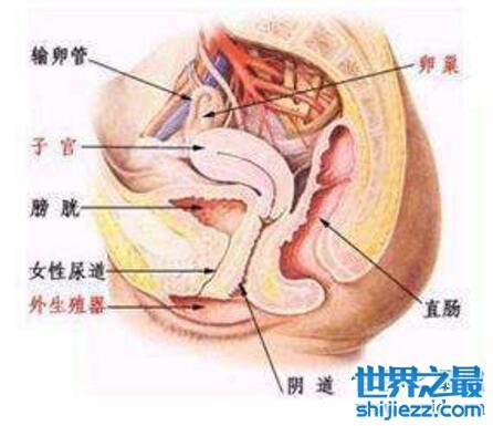 掏肠手将手伸入女子下体，扯出小肠(手段极度残忍)