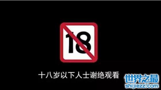 未满18岁禁止入内，18岁以下禁止观看(成年人请进)