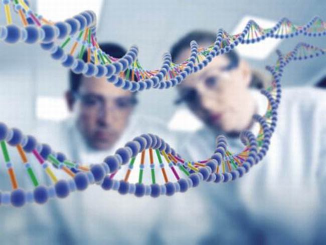 人类垃圾DNA真的无用?卫星DNA意义有哪些