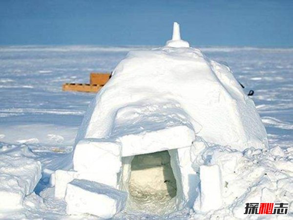 人类最北的定居点：阿勒特（4个月没白天/黑夜）