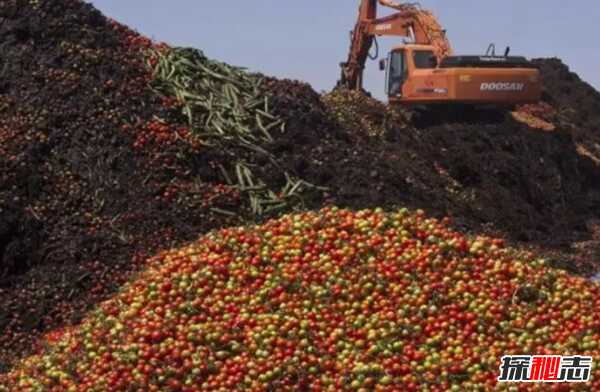 最浪费食物的十大国家,丹麦近70万吨食物被浪费