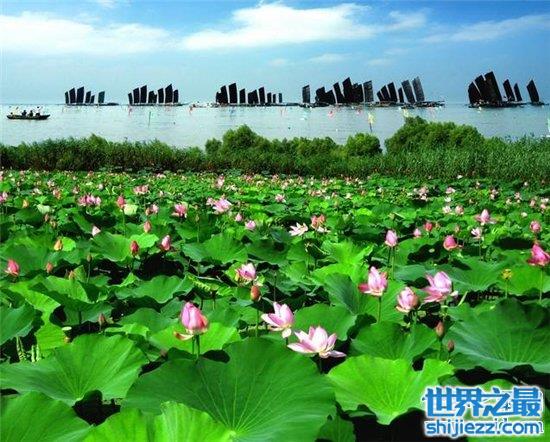 盘点中国四大淡水湖，其实这里风景独好