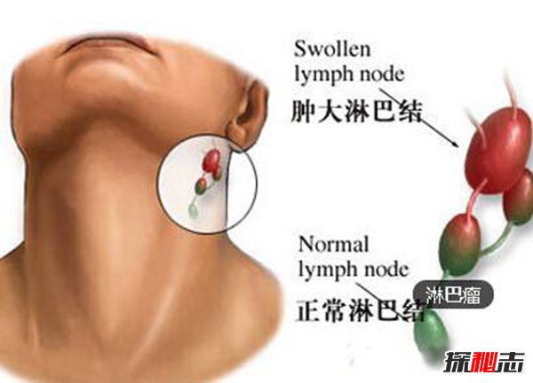 世界上美丽的十大城市 威尼斯风景如画温哥华相当宜居