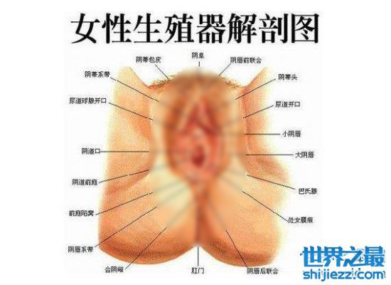 女人生殖器大揭秘，不同种族生殖器竟然不同（最美生殖器标准） ... ...