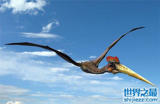 恐龙星球天空霸主风神翼龙 双翼展开可达十一米