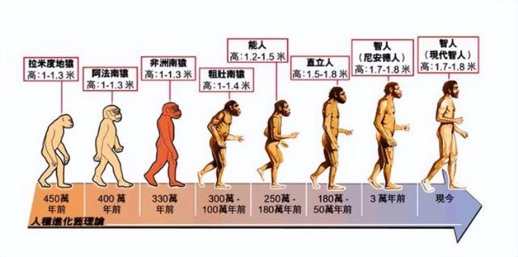 有言论人类不是地球的原住民他们的依据是什么意思,证据能证明人类是地球原住居民吗