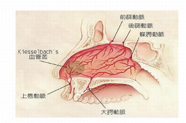 为什么人的嗅觉有时会失灵?嗅觉器官疲劳(刺激时间过长)