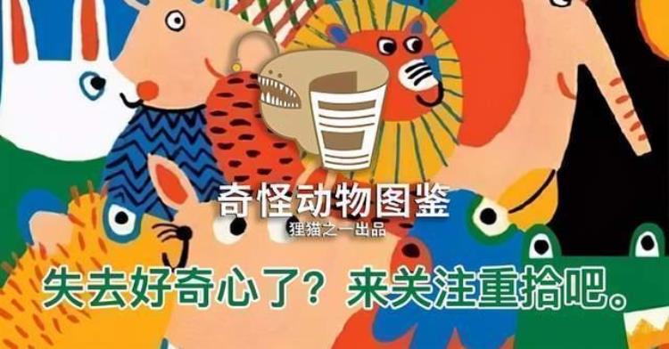 四川广元受伤秃鹫伤好后赖着不走每日吃10斤肉这是要混编制