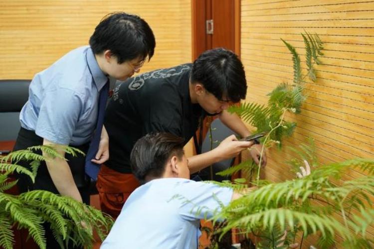 保护野生动物植物,打击野生动植物犯罪专项行动