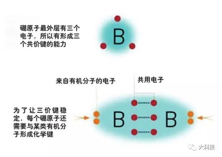 另类生命由硼构成吗,硼基生命真的存在吗