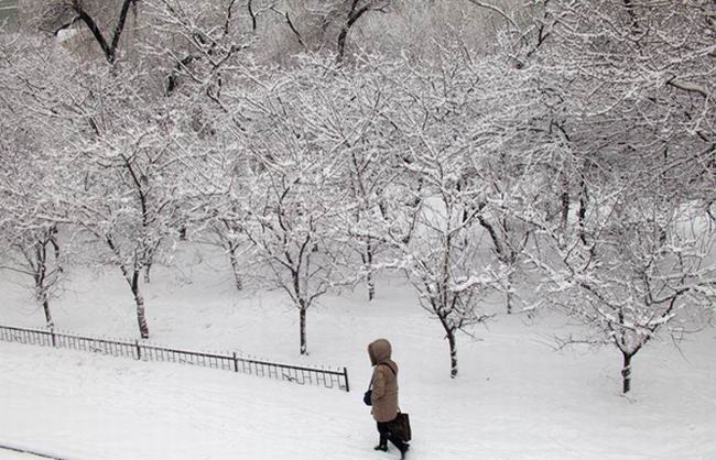 小雪的下一个节气是什么?大雪节气有哪些注意事项