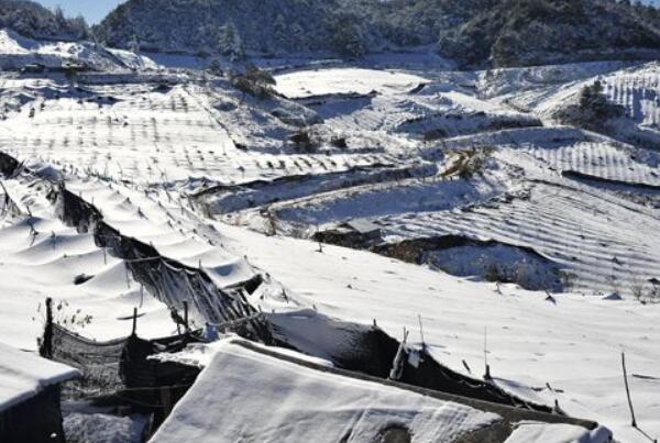 小雪的下一个节气是什么?大雪节气有哪些注意事项