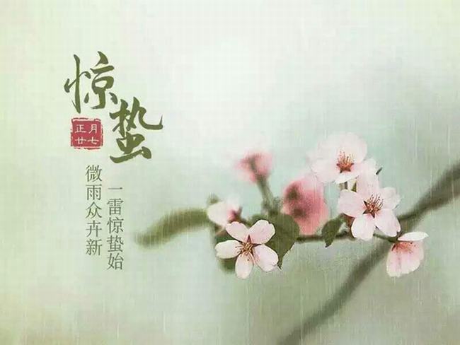 雨水什么意思?雨水节气有哪些寓意（春天的到来）