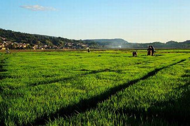 立夏是什么意思?天文学上夏天的开始（多喝水少生气）