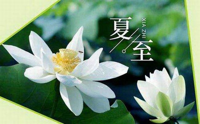 芒种是什么意思?芒种节气如何养生(多吃蔬菜少发火)