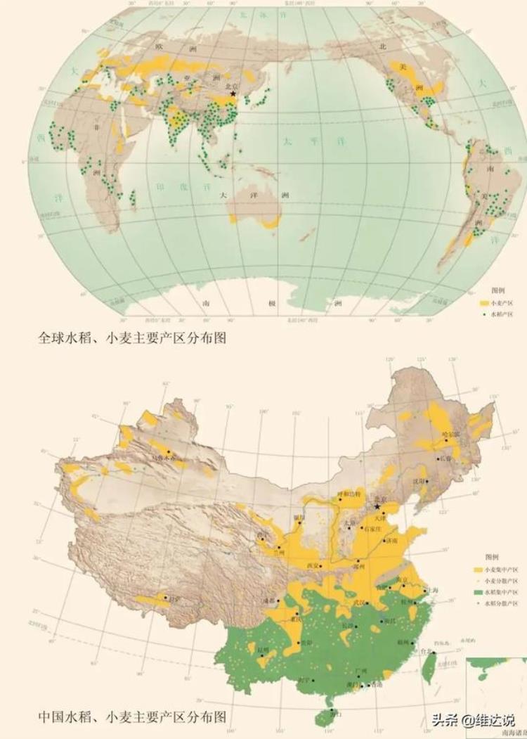 西亚人最早开始种植小麦和大麦,小麦进化历史