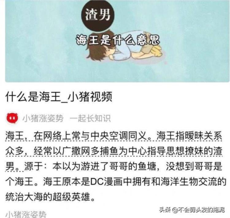 海王是什么意思,什么是海王最详细的解释