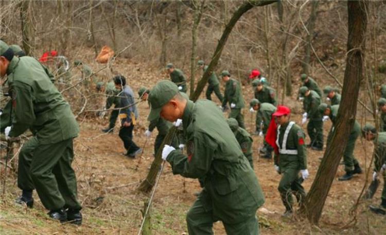 韩国青蛙少年失踪事件,青蛙少年失踪的事件