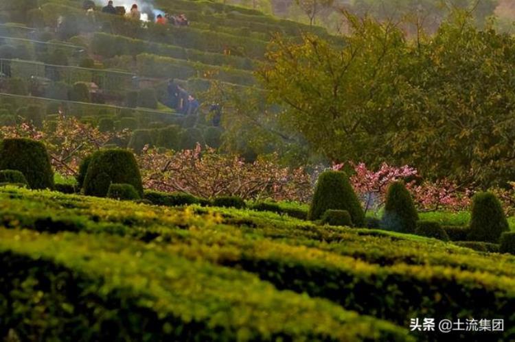 今年清明节能去墓地扫墓吗,清明上坟在时间上有什么讲究