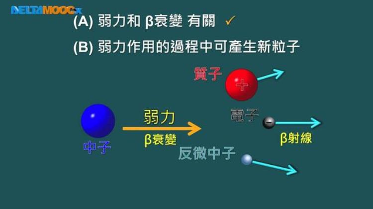 分子间只存在引力不存在斥力,什么粒子不受引力的作用