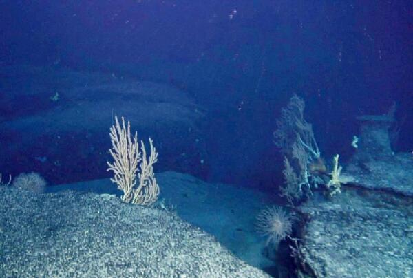 大西洋海底巨洞：地球内部一扇窗(没有地壳只有地幔)