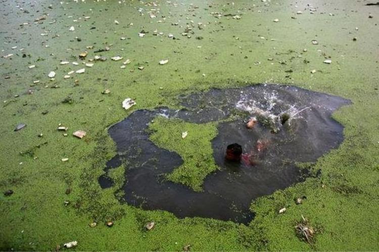 印度最大水电站冲毁,印度建水电站对我国的影响