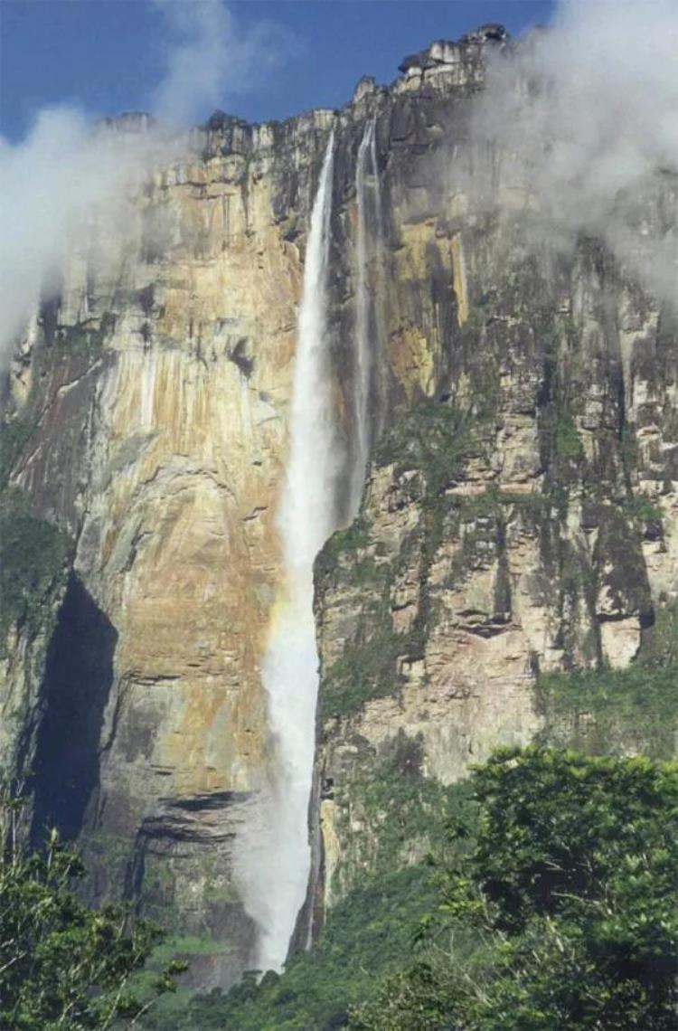 罗赖马山山顶有哪些动物,深山老林发现恐龙化石