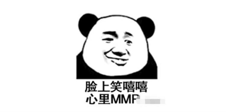 MMP导弹,攻击距离300公里的陆军战术导弹