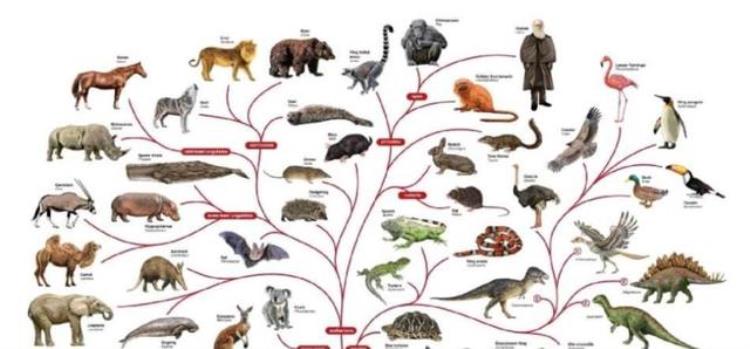 物种起源发表了160年进化论都发生了什么改变,物种起源与演化