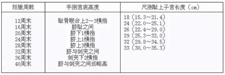 女性生殖系统重点内容总结图,女性泌尿系统百科知识