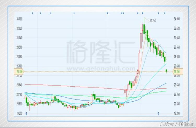 网龙777HK一张网还是一条龙