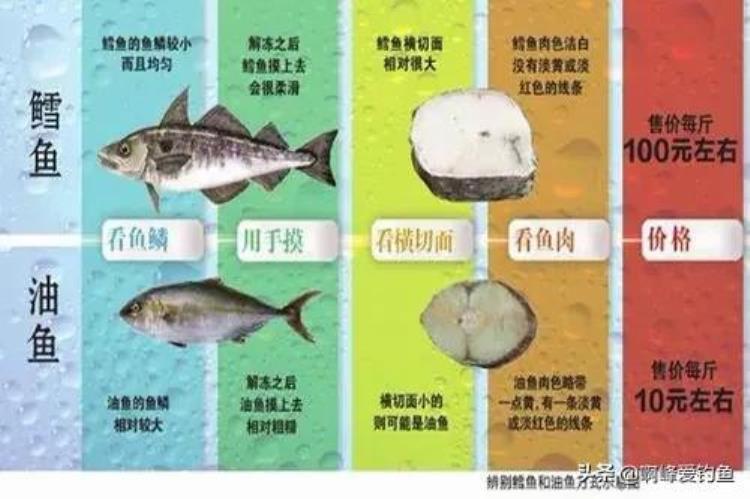 油鱼吃了真的漏油?,深海鱿鱼有酸味