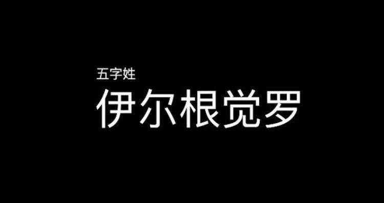 最长的姓氏17个字,中国最长的姓20字