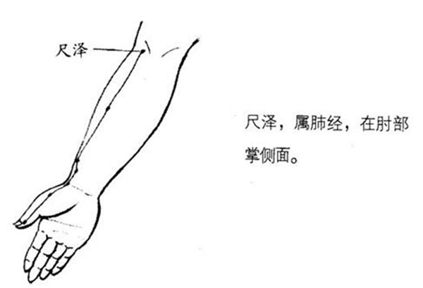 吃柚子不能吃什么食物 吃柚子的禁忌有哪些