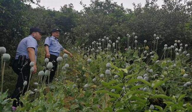 打豆浆用开水还是冷水 打豆浆时候应该注意什么