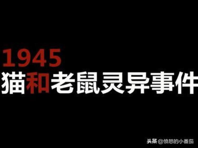 1945年到底发生了什么讲讲那一年猫和老鼠的灵异事件,1945年奇异事件