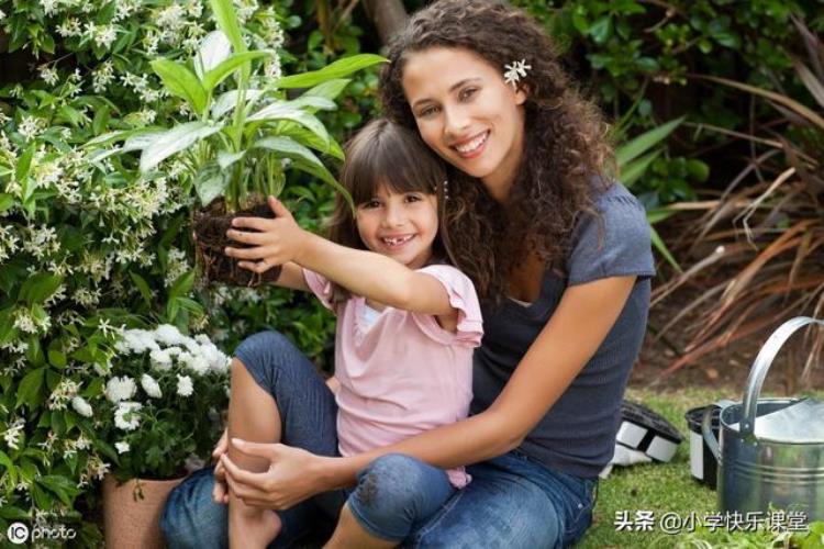 小学生作文,暑假趣事,小学生作文暑假发生的趣事