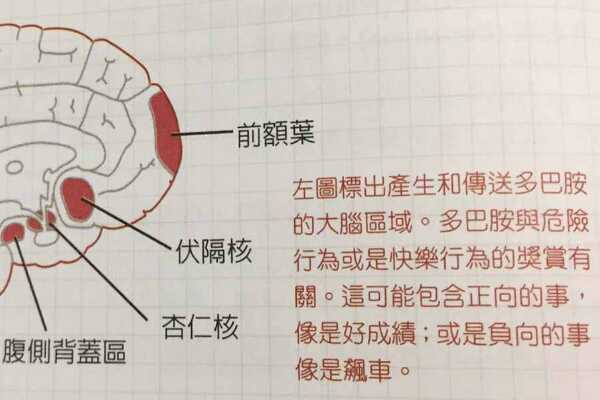 怎么用小苏打做起泡胶？搅拌五种原料（剃须泡沫也能用）