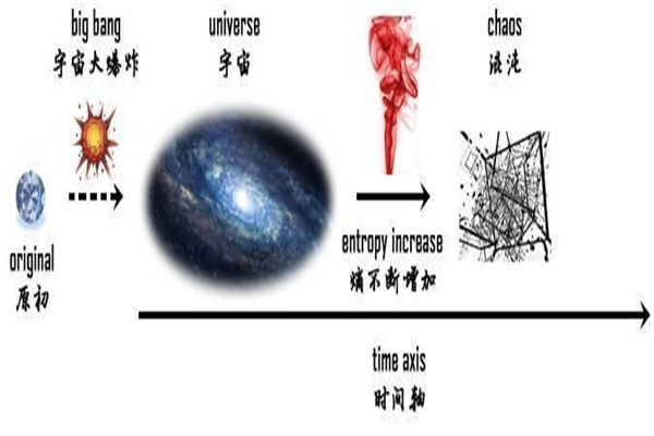 企鹅送到北极会死吗 北极上是否存在过企鹅