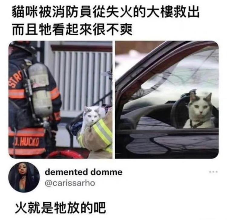 奇闻异事大合集,奇闻合集