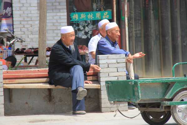 老虎的祖先是什么动物?生活在树上(捕食昆虫和鸟类)