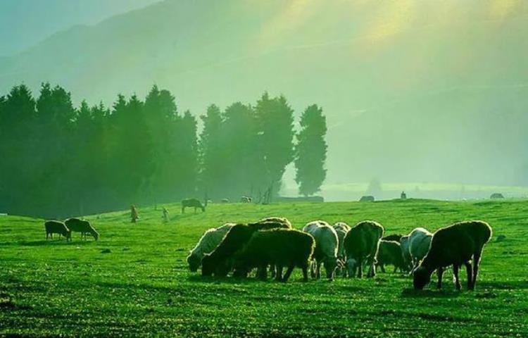 一辈子看不到的奇景,十大奇特风景