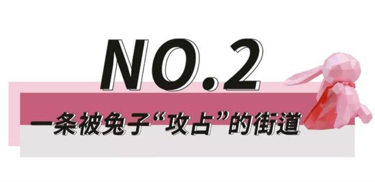 这是一条被兔子攻占的街道南充人的朋友圈被它刷屏了