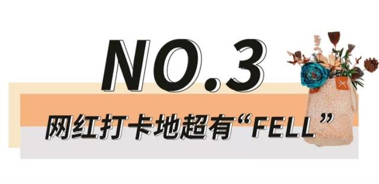 这是一条被兔子攻占的街道南充人的朋友圈被它刷屏了