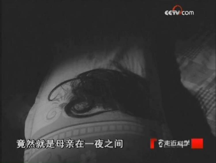 丧事 剃头,荔枝树下埋尸案