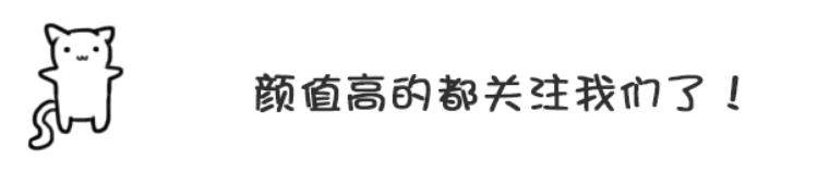 智商低的狗有什么特点,狗狗智商低的5个特征