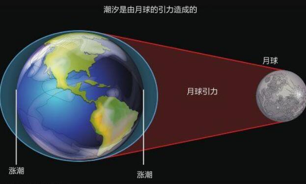 月亮是怎么引起地球潮汐的：月球对海水有吸引力(引力导致)