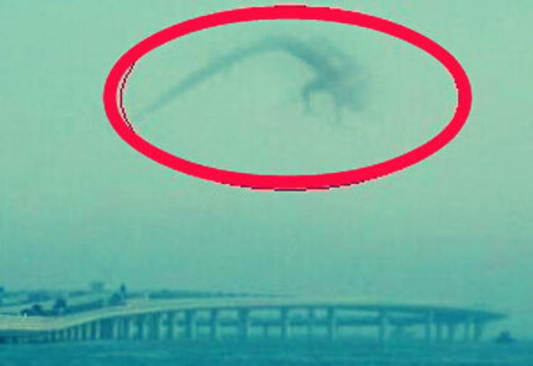 95年安徽巨蟒渡劫事件真相,1995年安徽省出现巨蟒是真实的吗