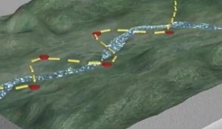 故事:河北惊现34会走路的树34,200年行走150米,记者拍下34诡异34画面